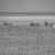 Orix/Orici - Etosha National Park, Namibia